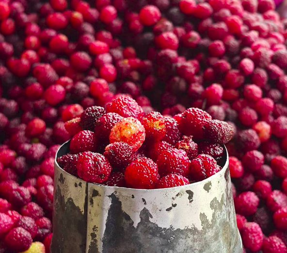 kafal berry