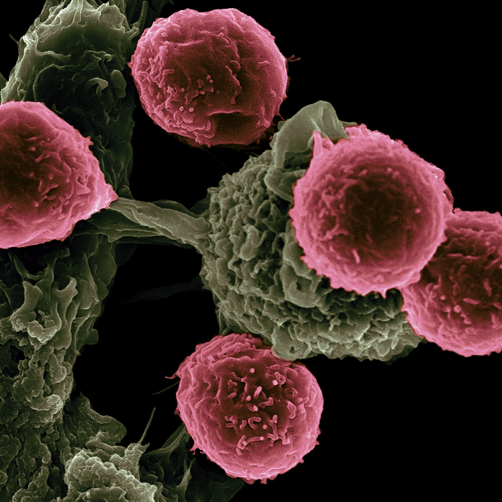 immunotherapy-nepal