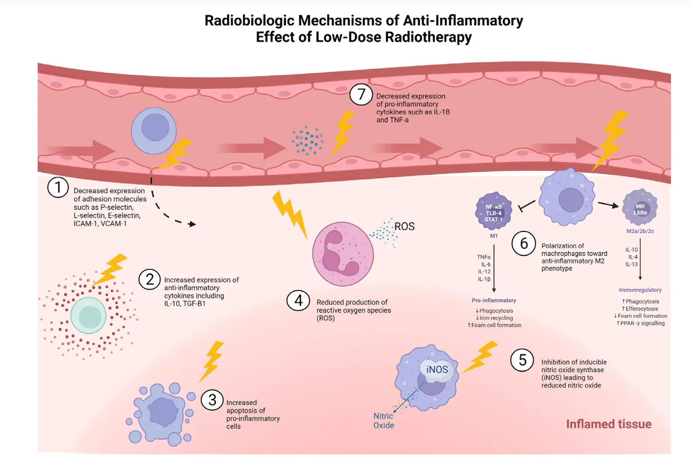 LDRT Mechanism of Action